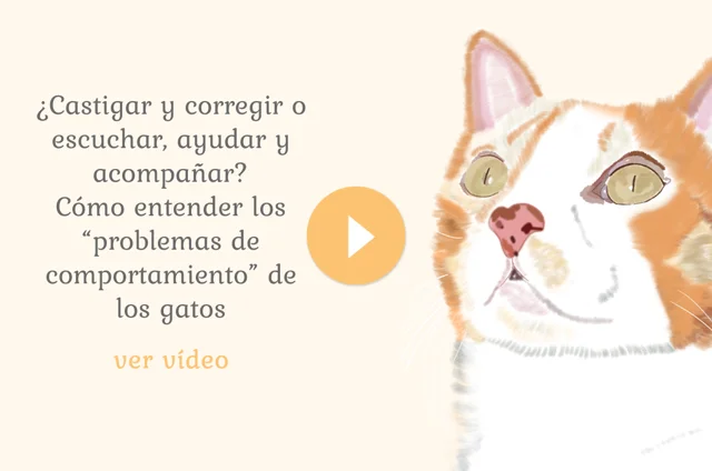 Este arenero inteligente para gatos se limpia el solo y cuesta mucho menos  que los demás