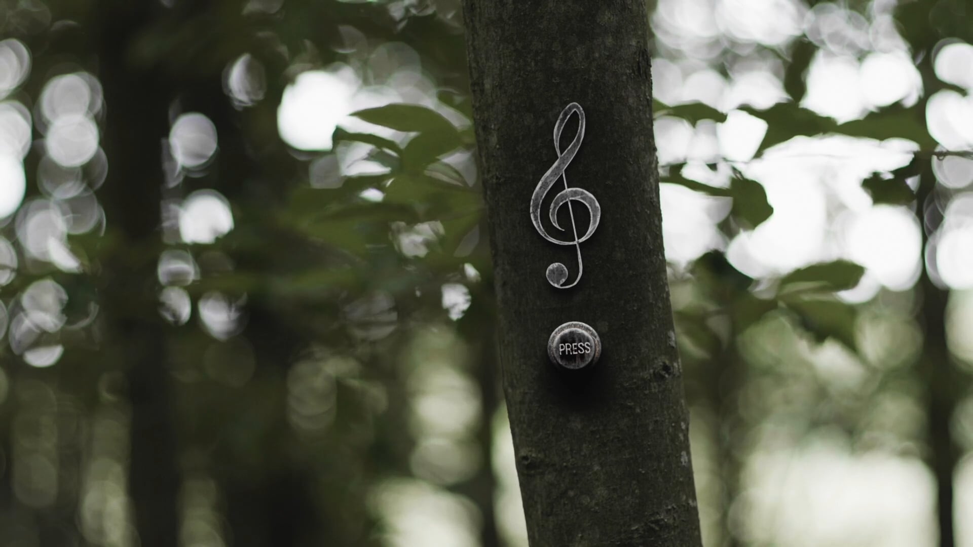 Naptime Shorts: Tune Forest