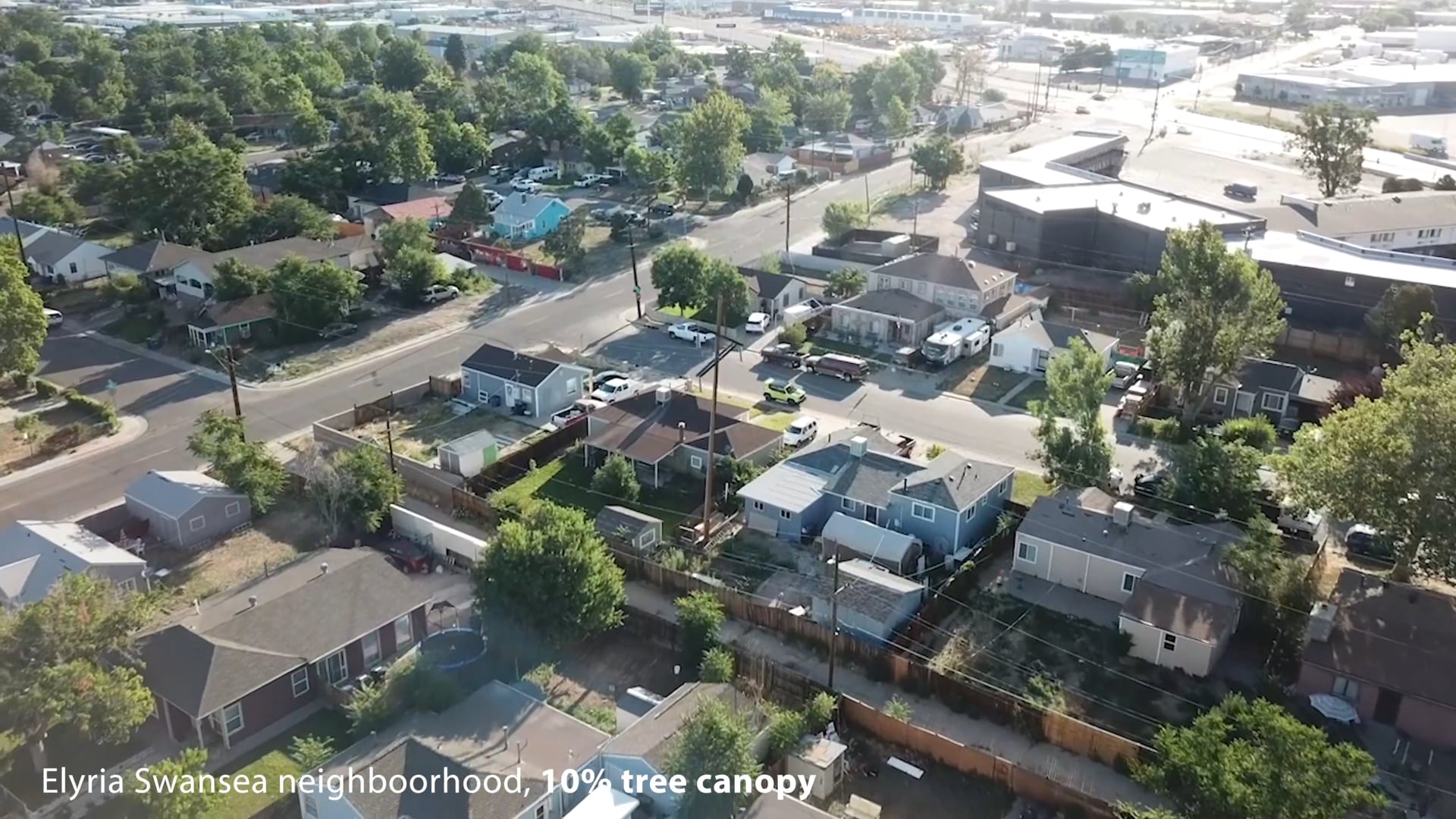 Tree Inequality, Denver