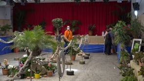 El CER reactiva l'activitat amb l'exposició de Flors i Bonsais