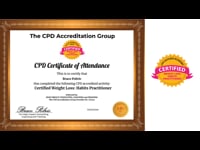 Promotional Video