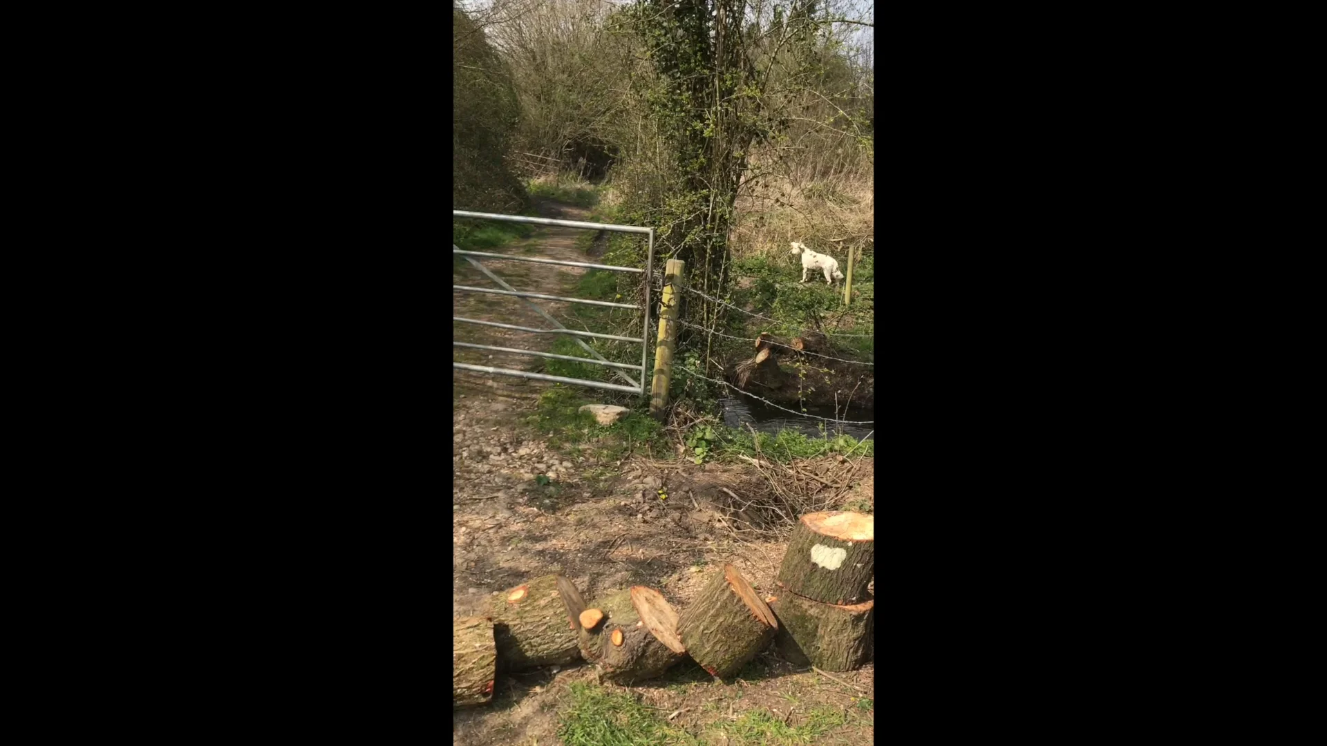 Logs falling in realtime. on Vimeo