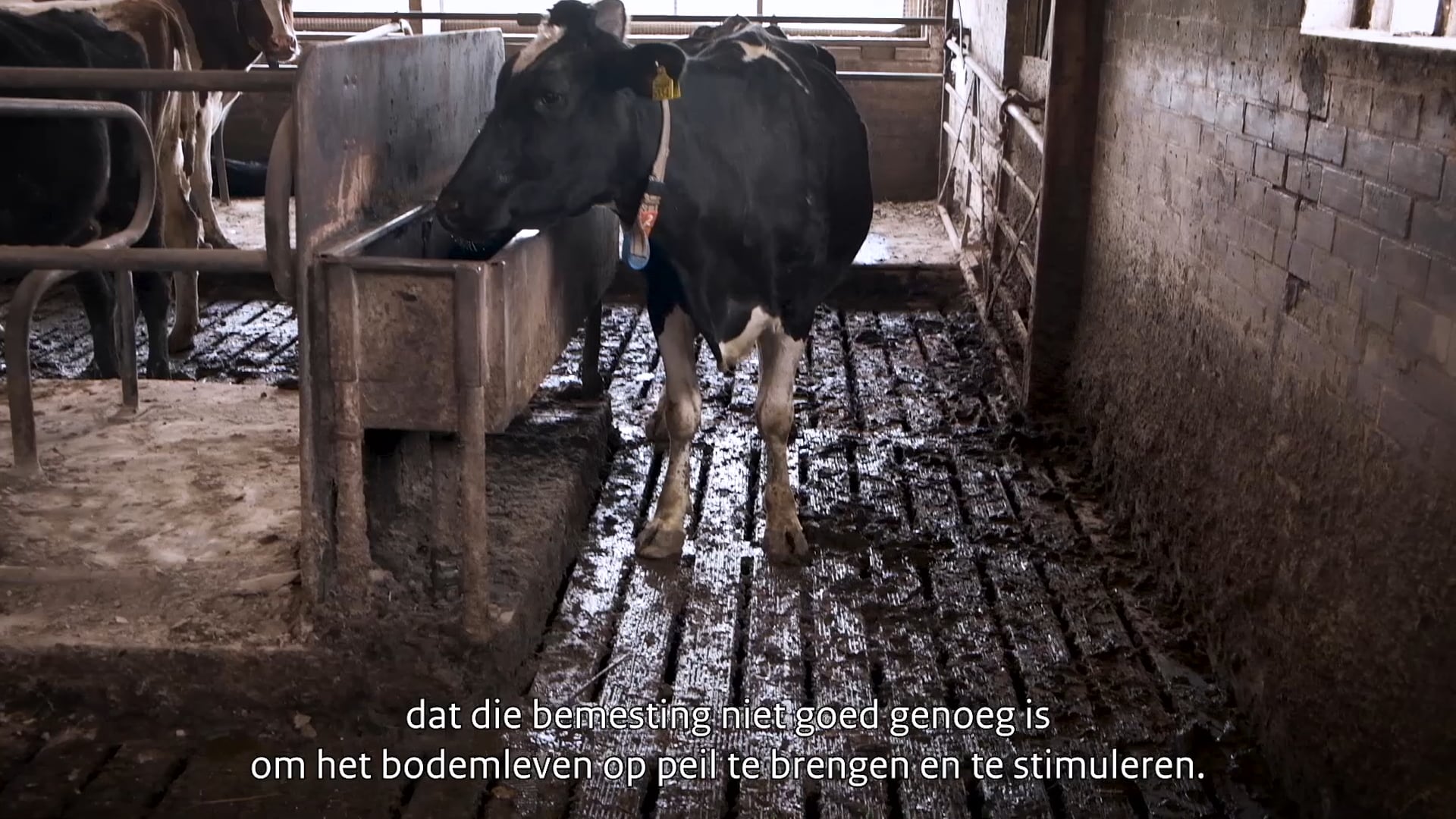 Ministerie LNV
