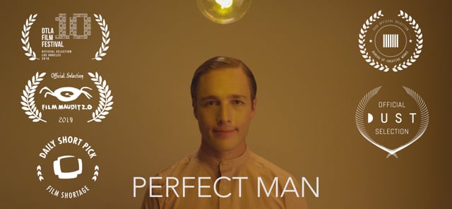 Perfect Man