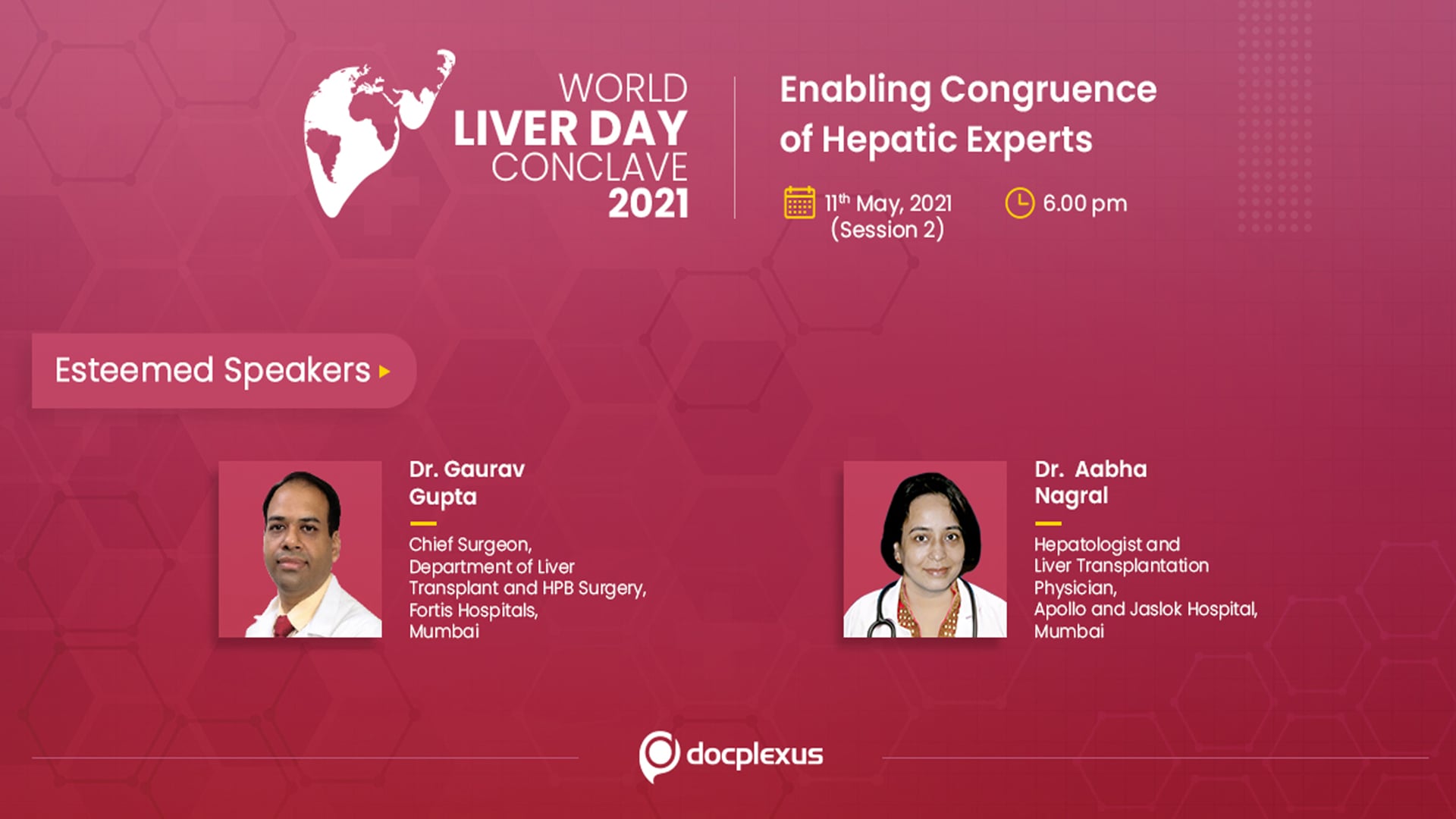 An Exclusive Conclave on Liver Diseases: A Congruence of Hepatic Experts - Part 2