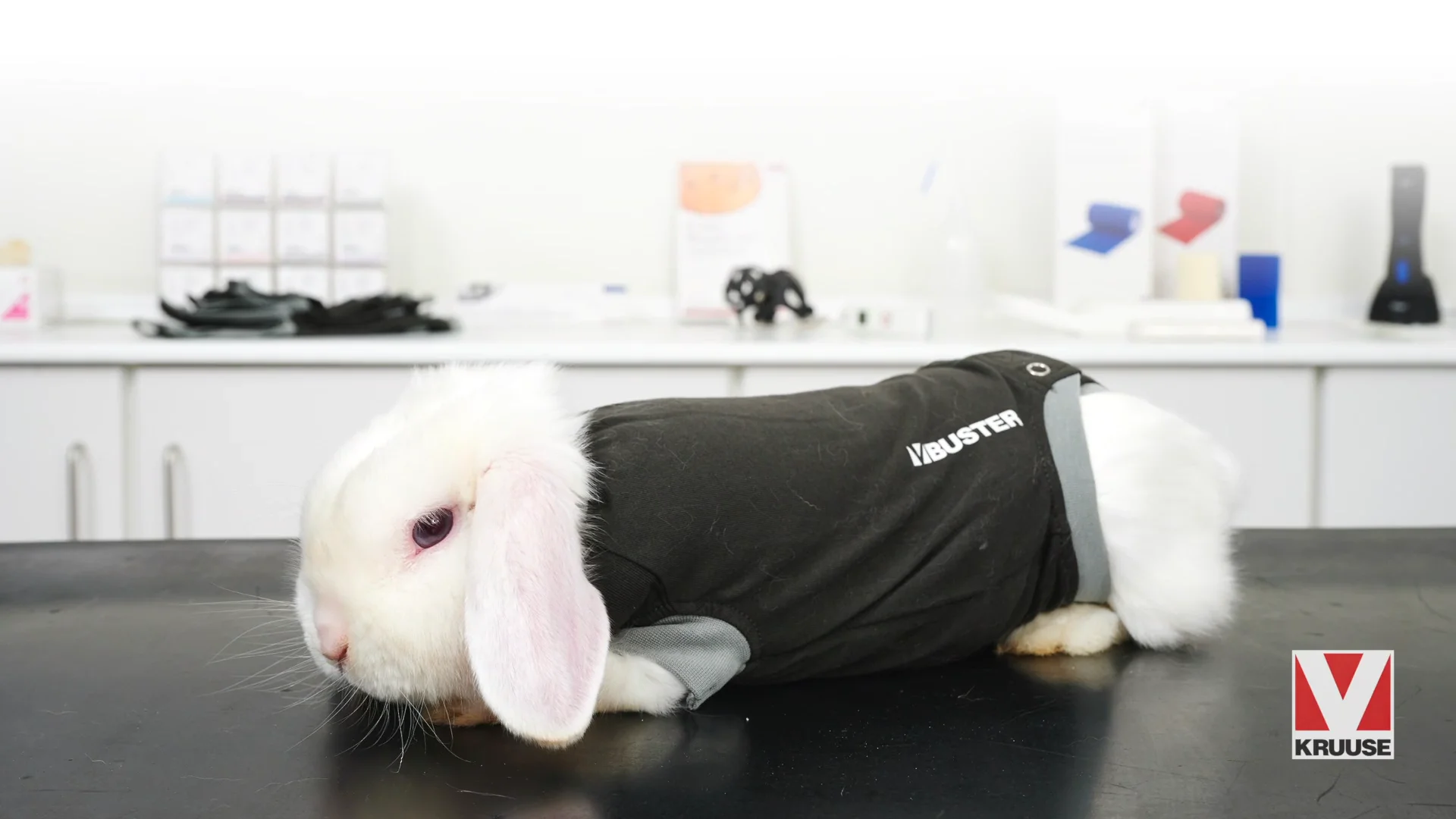 Video to web & download BUSTER Body Suit for Rabbits on Vimeo