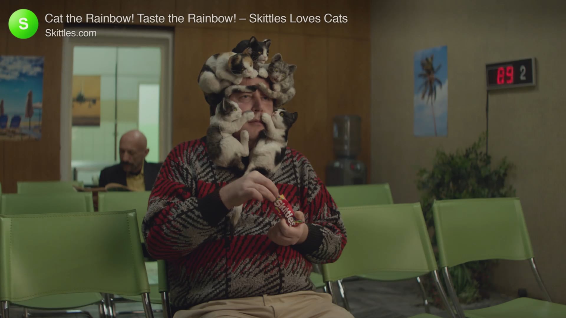 Skittles Cat