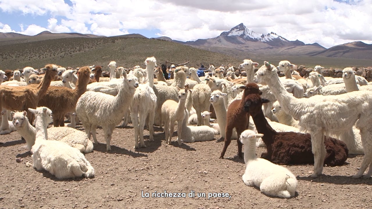 TRAILER - Le custodi dell'oro delle Ande