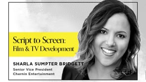 Related Embedded Video Item Thumbnail