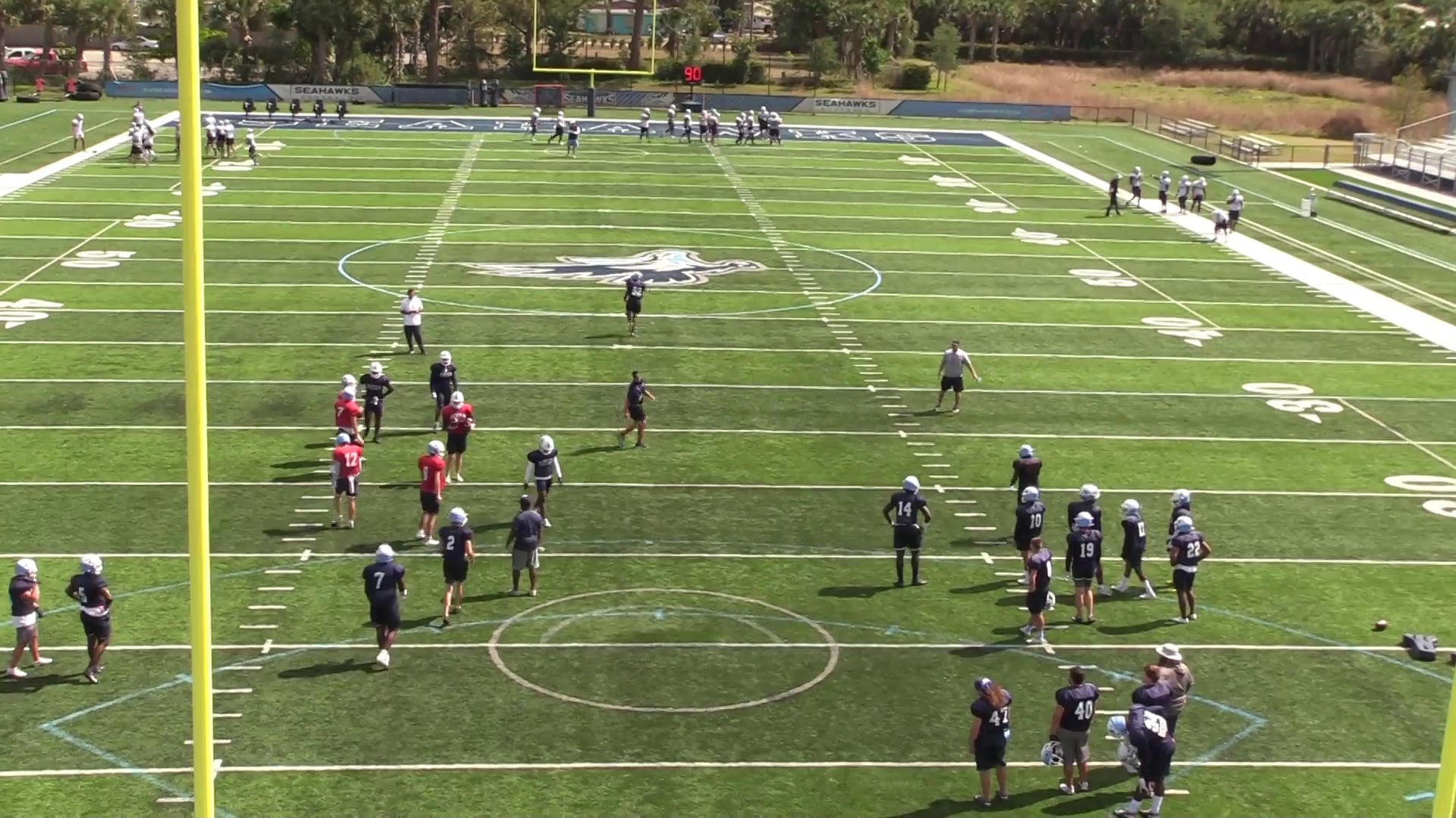 RPO DRILLS 2ND LEVEL READ
