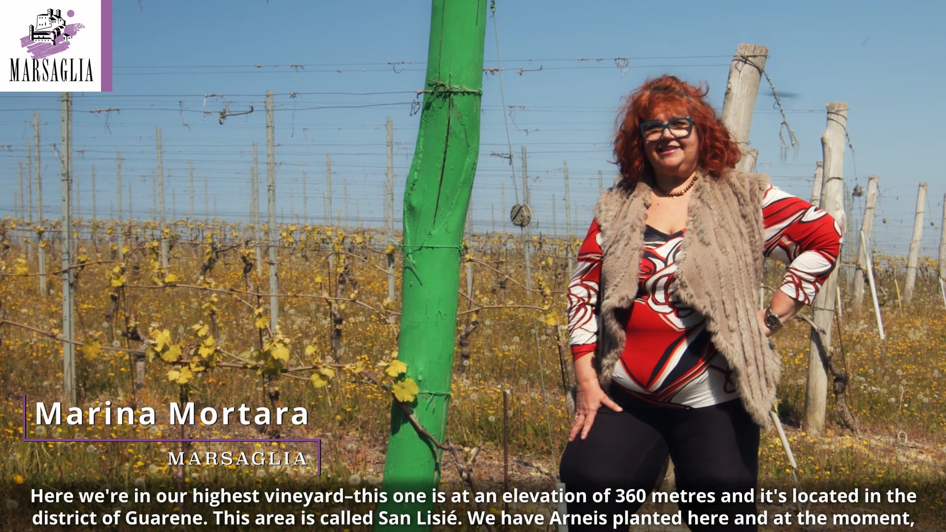 Vigneto San Lisiè a Guarene | San Lisiè vineyard in Guarene