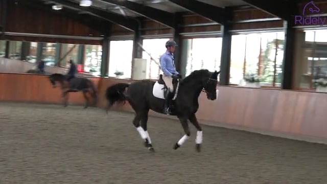 Creating suppleness in the canter