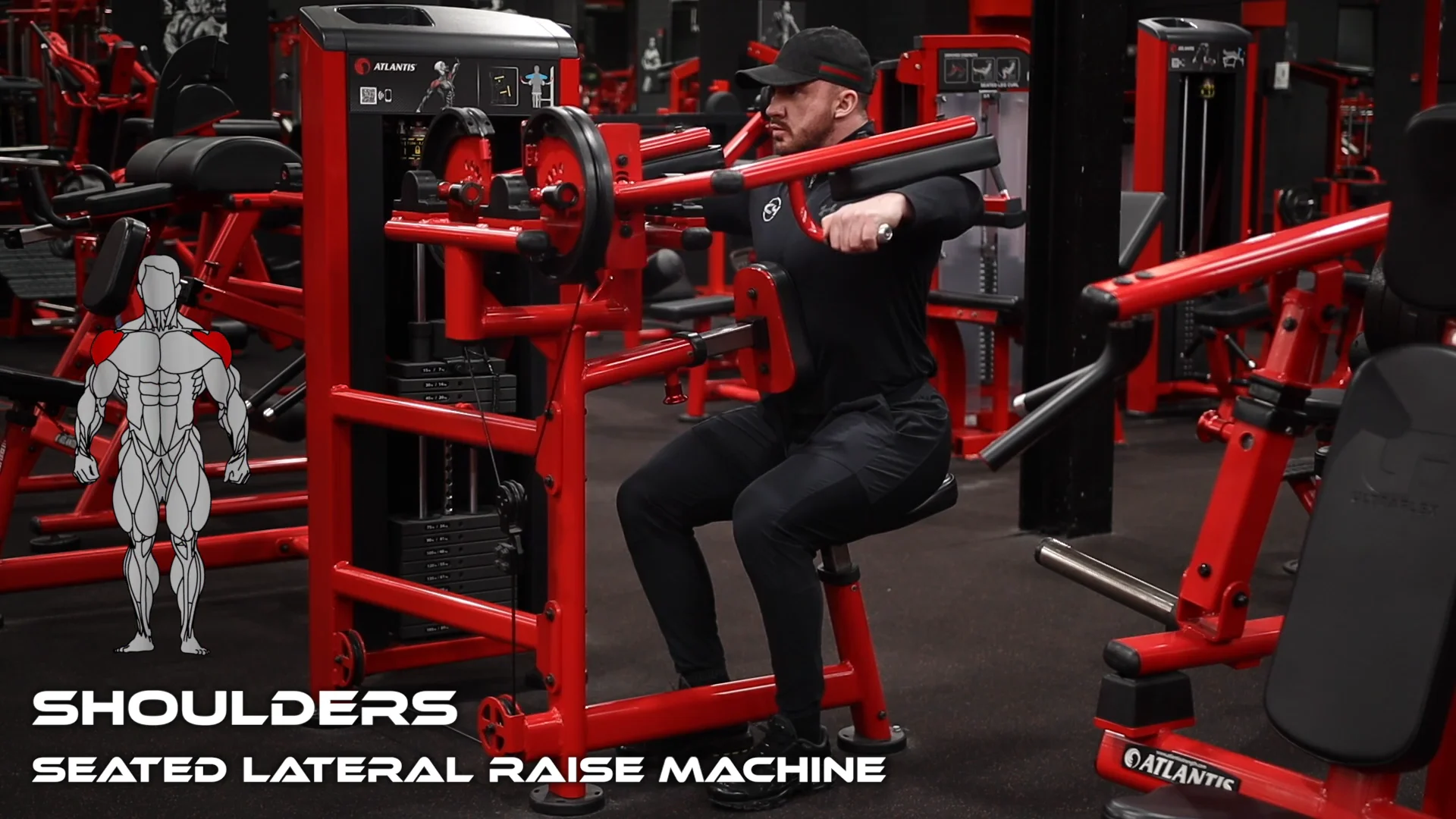 seated lateral raise