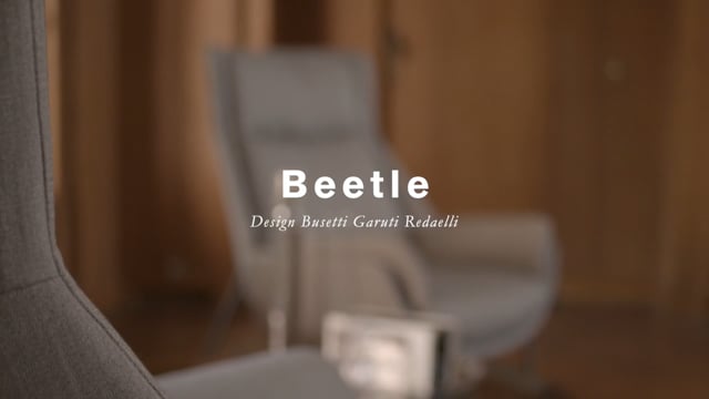 Beetle (it, en)