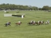 Middleburg Spring Races - Race 6