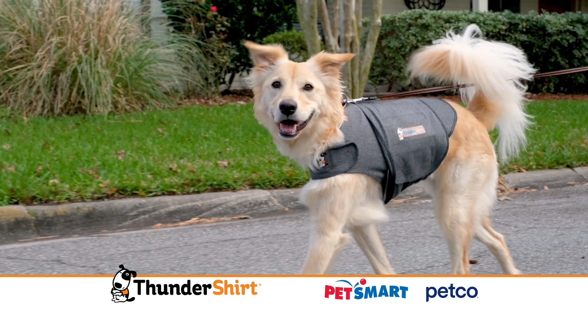 Petsmart thundershirt shop