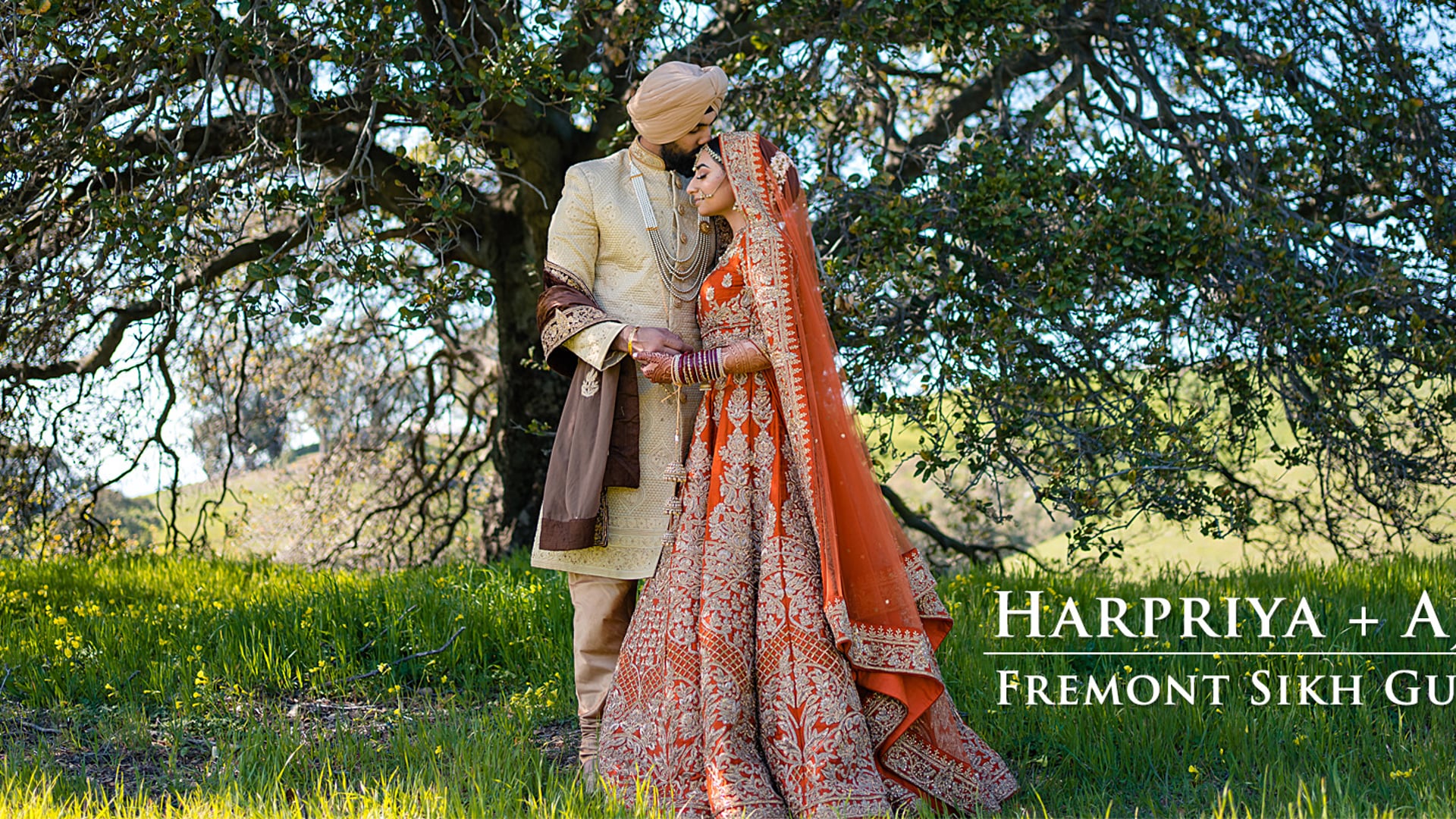 Harpriya + Ajaypal | Cinematic Sikh Wedding Highlights at Fremont Gurdwara