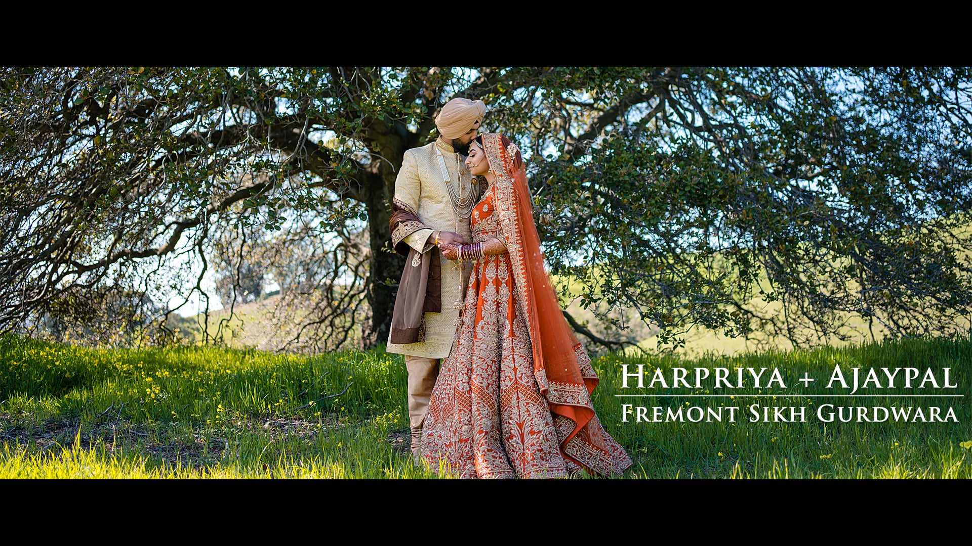Harpriya + Ajaypal | Cinematic Sikh Wedding Highlights at Fremont Gurdwara