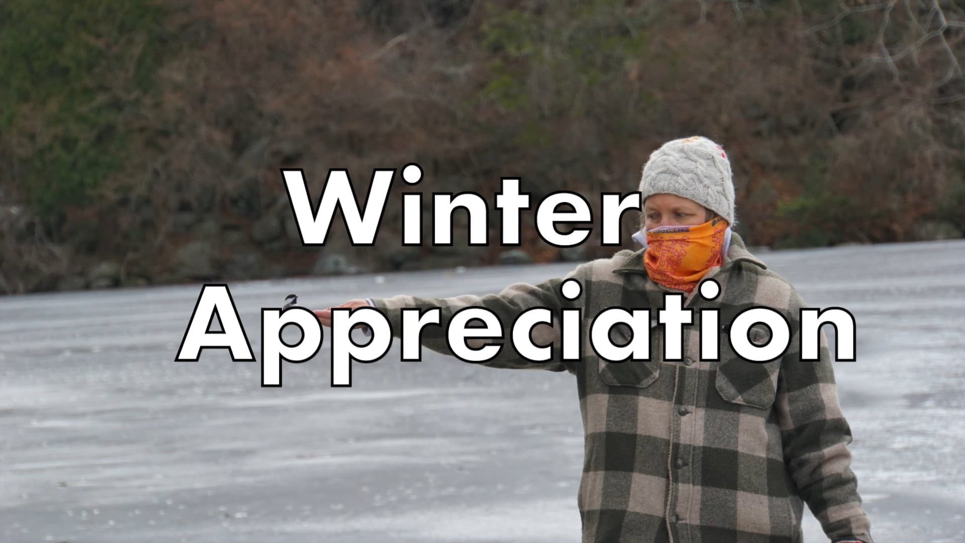 Winter Appreciation