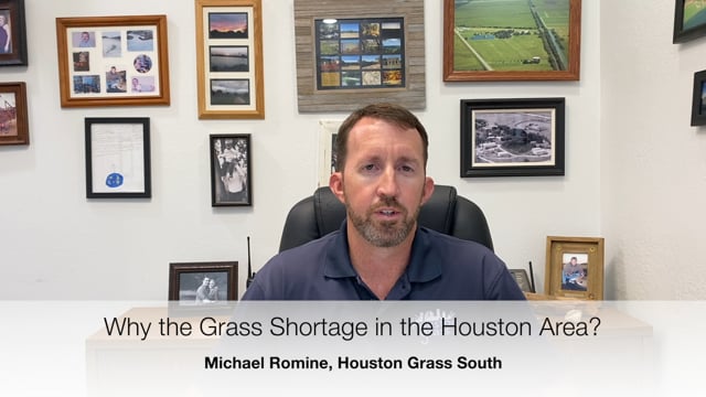 Why the Grass Shortage in the Houston Area - Pearland Sugar Land TX