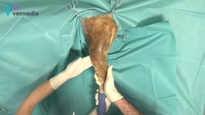 Artrocentesis lateral de rodilla