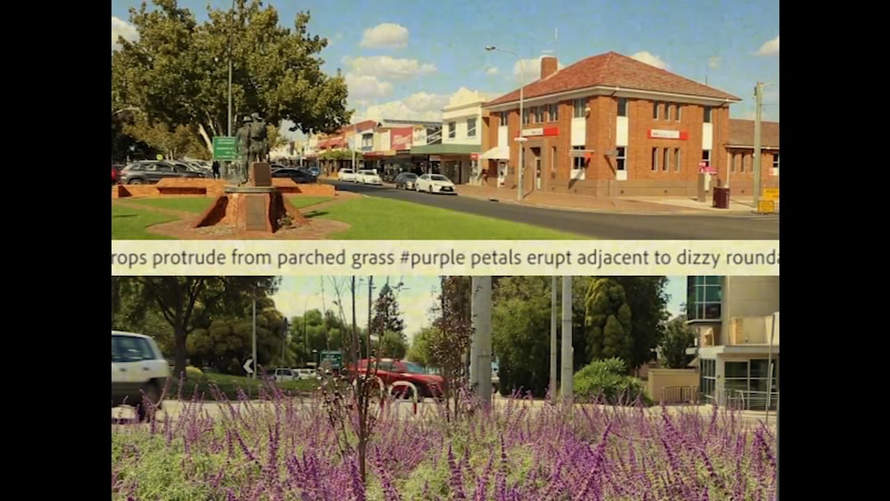 Posthuman Landscapes, a video by Candice Boyd