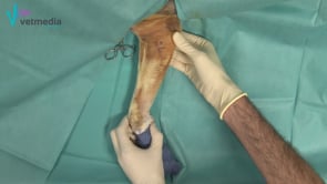 Artrocentesis medial a la articulación del codo