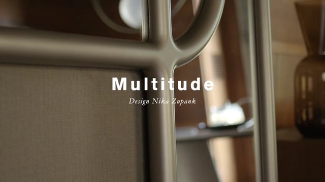 Multitude (en)