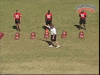 Preview Video #14