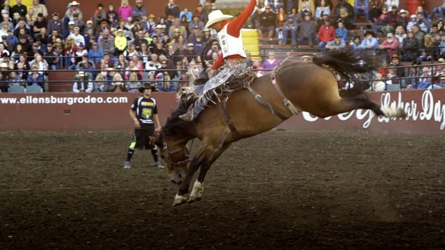 Cinch Jeans, Shirts & Rodeo - Customer Success Story