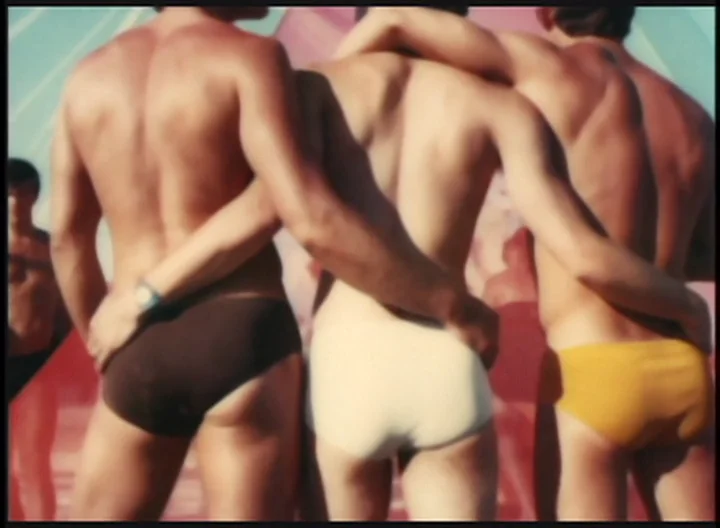 Watch GAY SEX IN THE 70S Online |   On Demand  