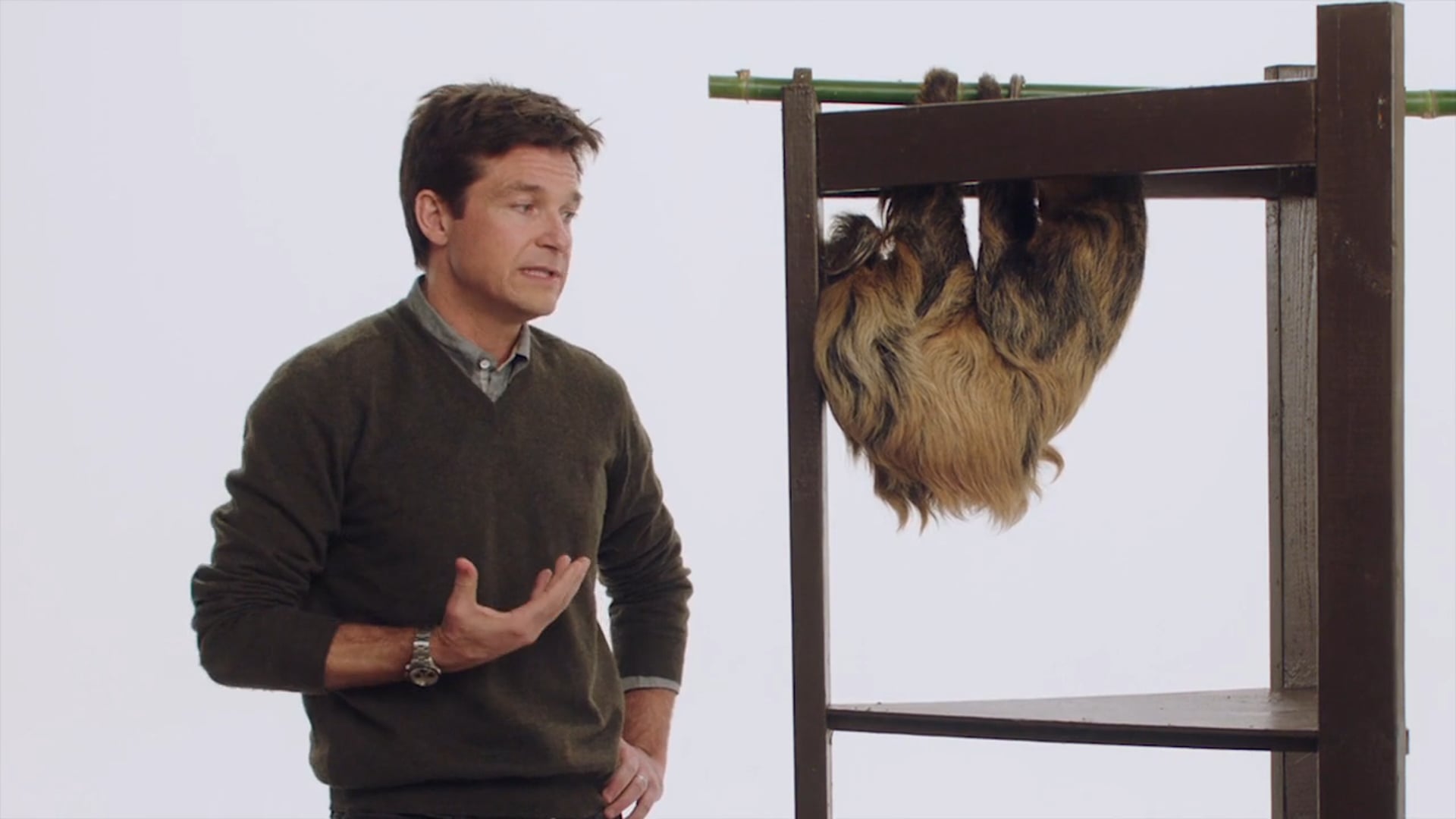 Zootopia - Jason Bateman & A Sloth
