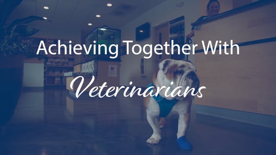 Achieving Together With Veterinarians