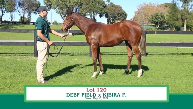 Lot 120