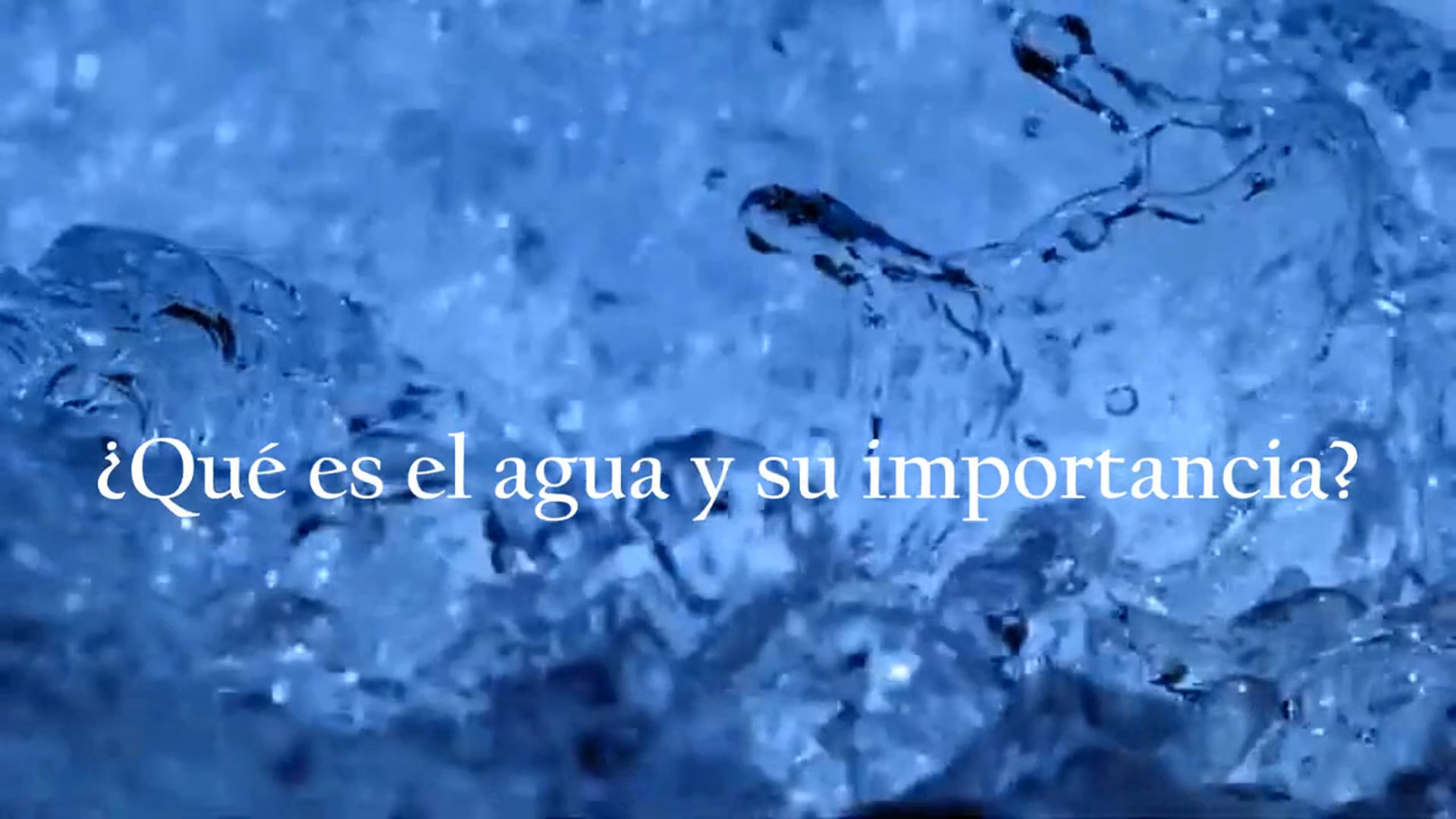 La importancia del agua.mp4