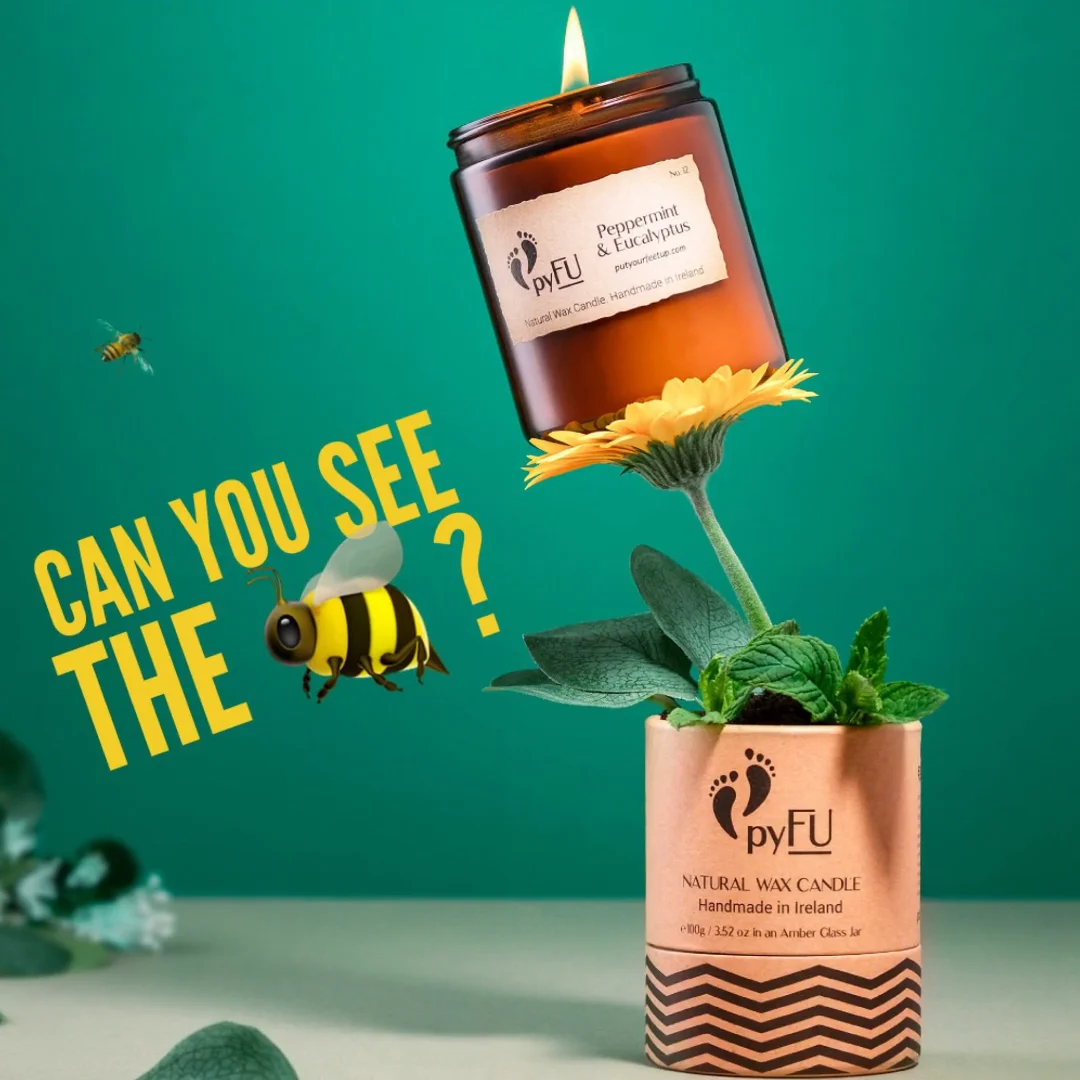 Can you see the Bee? on Vimeo