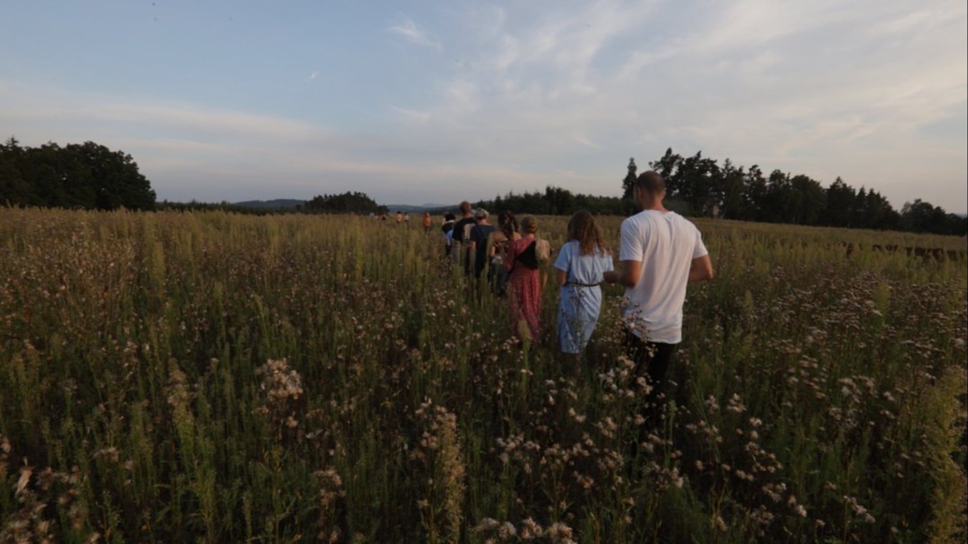 3 Minutes of Summer School 2019 and 13 Minutes of Birds to Think about the Open Call for the 2021 Edition
