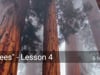 "Trees" - Lesson 4