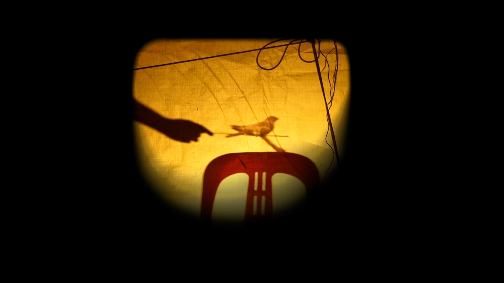 Trailer - {if your bait can sing the wild one will come} Like Shadows Through Leaves