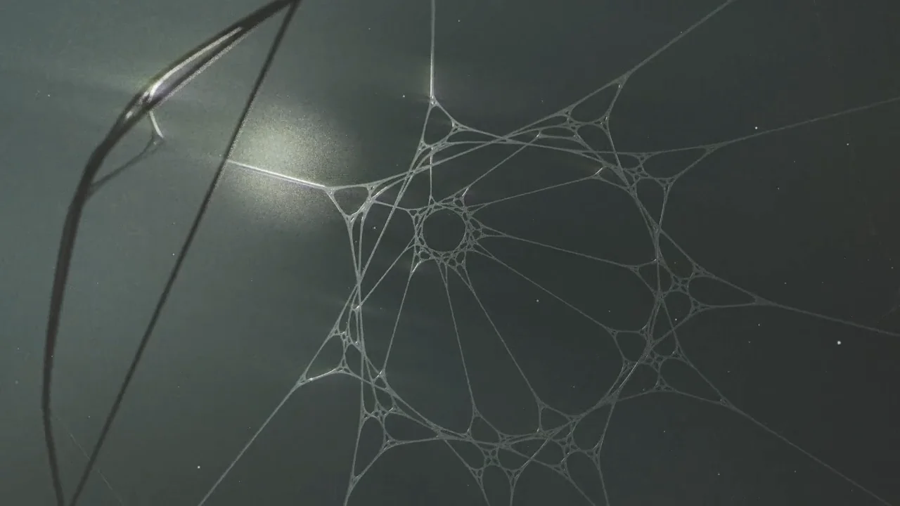 Abstract Web on Vimeo