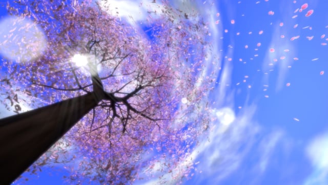 Animated Tree Videos: Download 50+ Free 4K & HD Stock Footage Clips ...