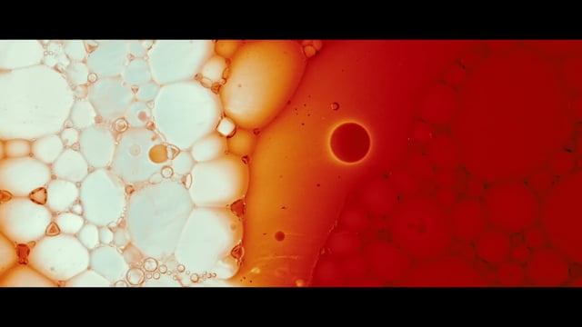 Kajita Shoten Tatsumi Soy Sauce image film