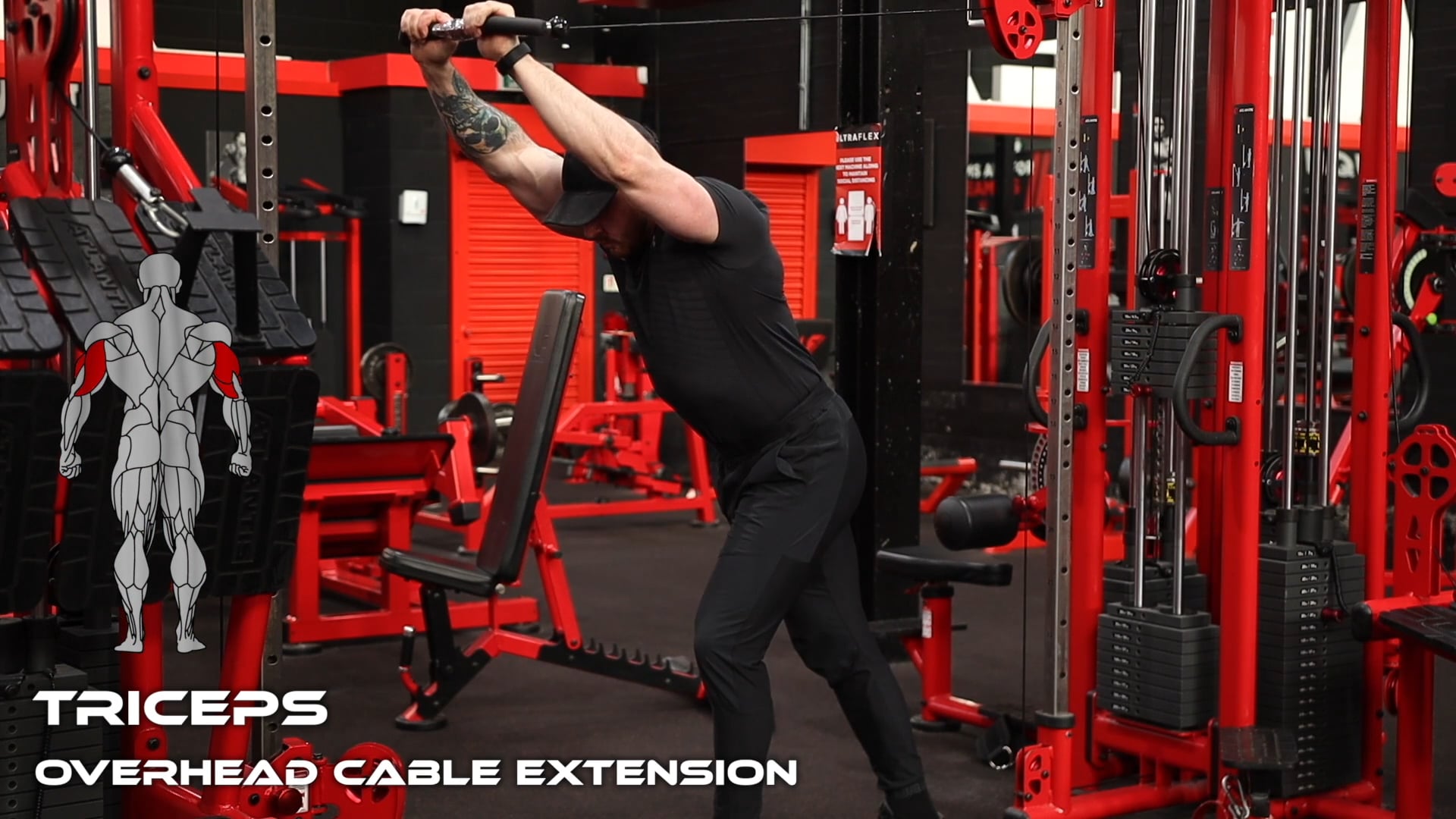 overhead cable tricep extension