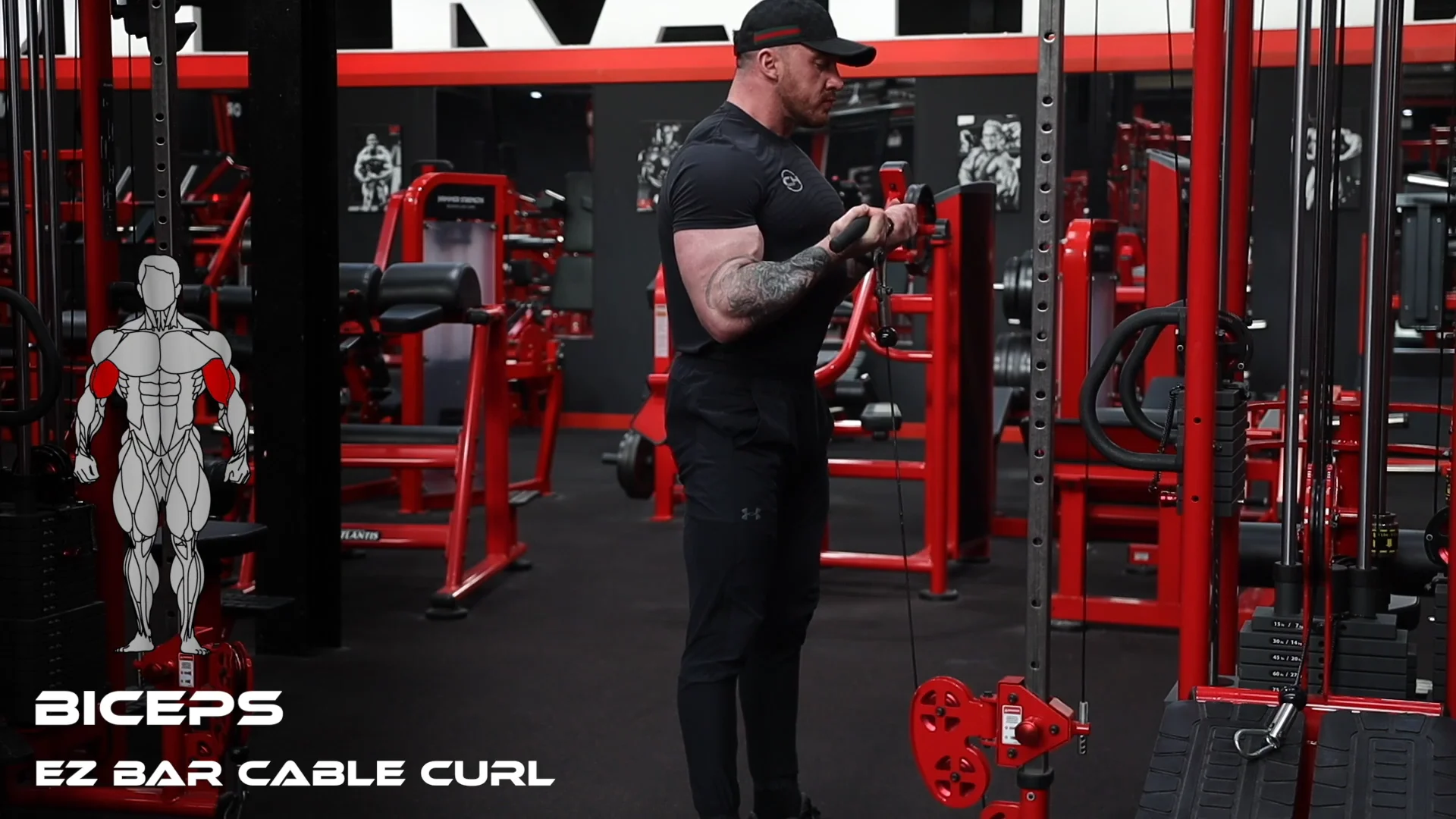 EZ Bar Cable Curl