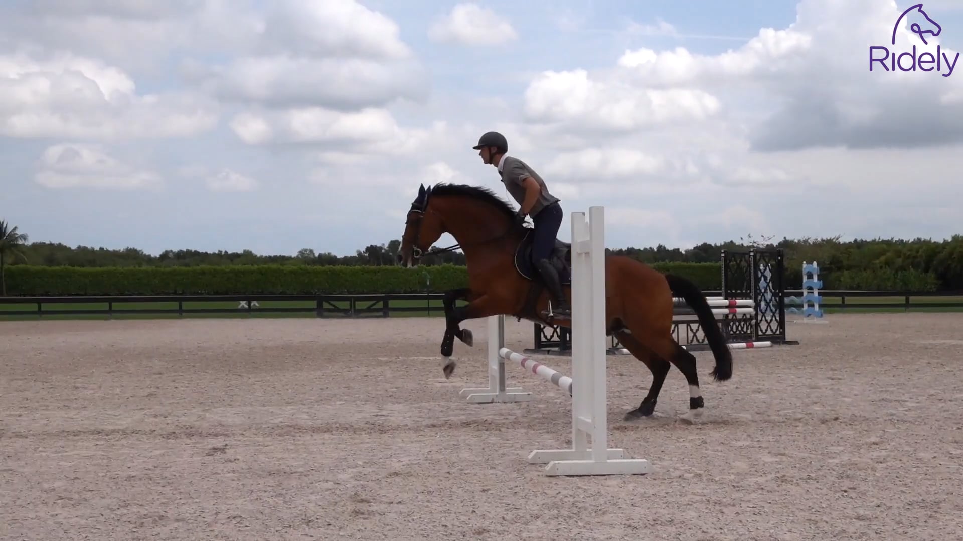 changing-strides-between-poles-small-jumps-ridely