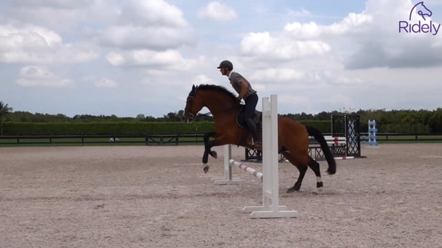Changing strides between poles & small jumps