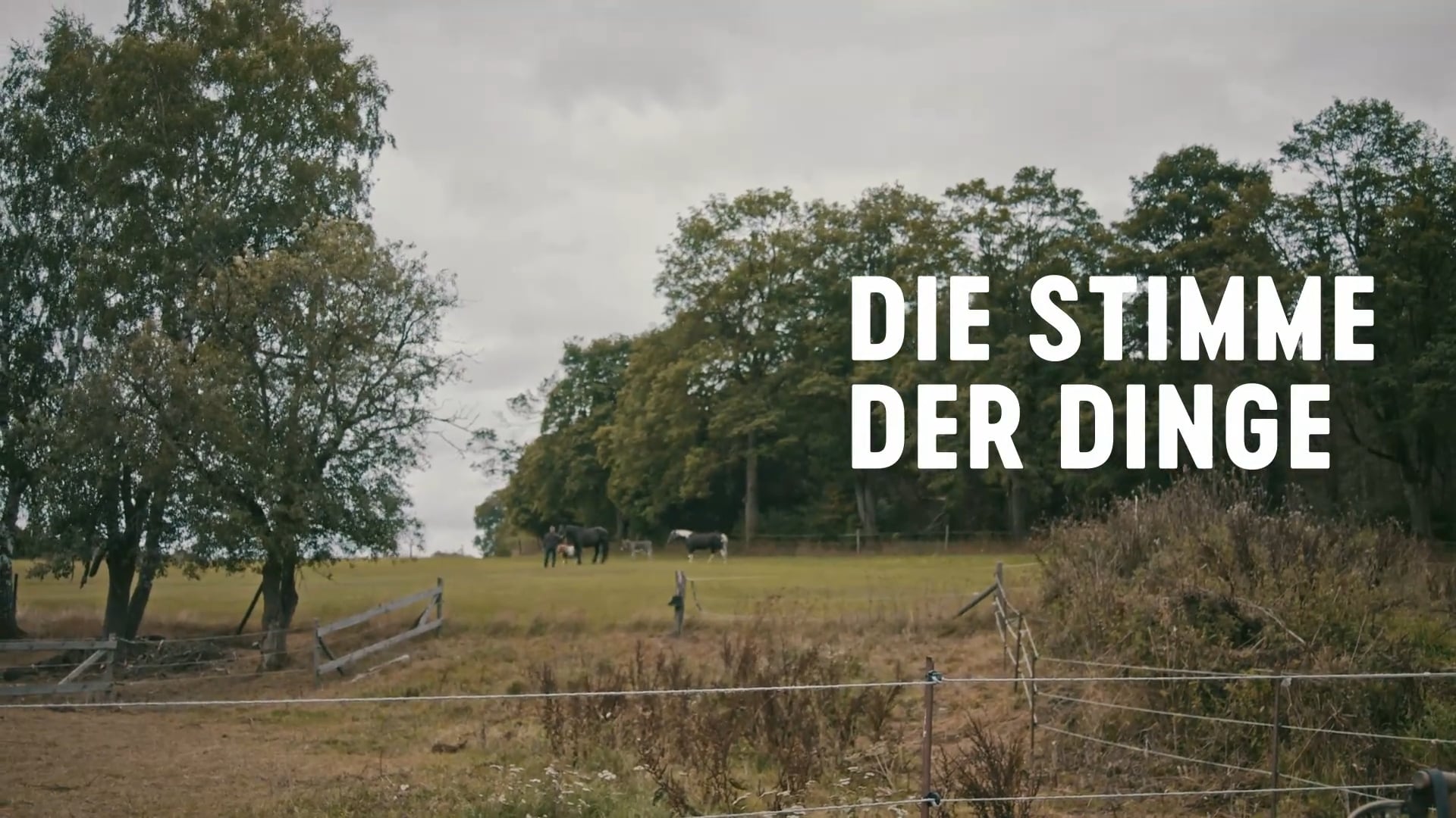 Die Stimme der Dinge
