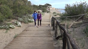 Manteniments a les fustes del passeig d'Empúries