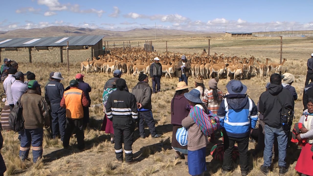 TRAILER - Las cuidadoras del oro de los Andes