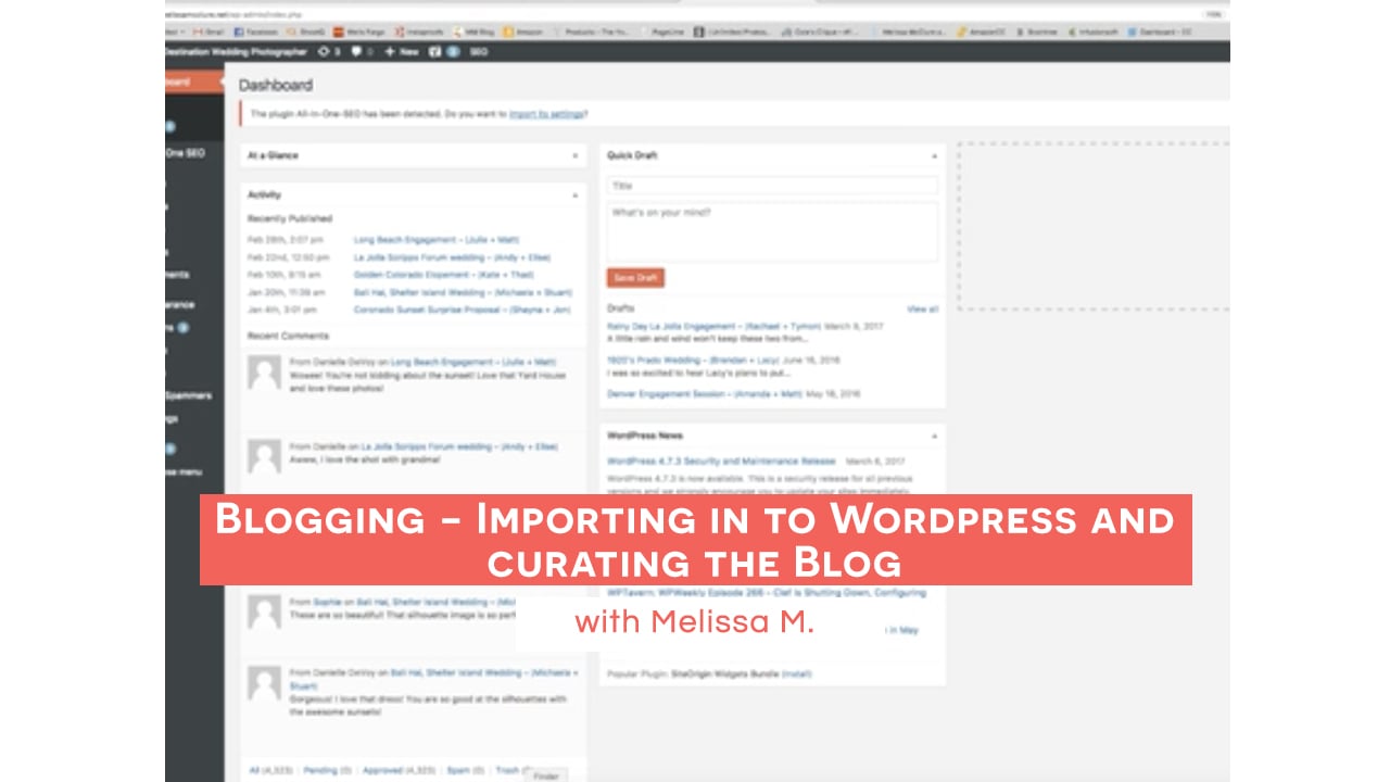Blogging - Importing in to Wordpress and curating the Blog with Melissa